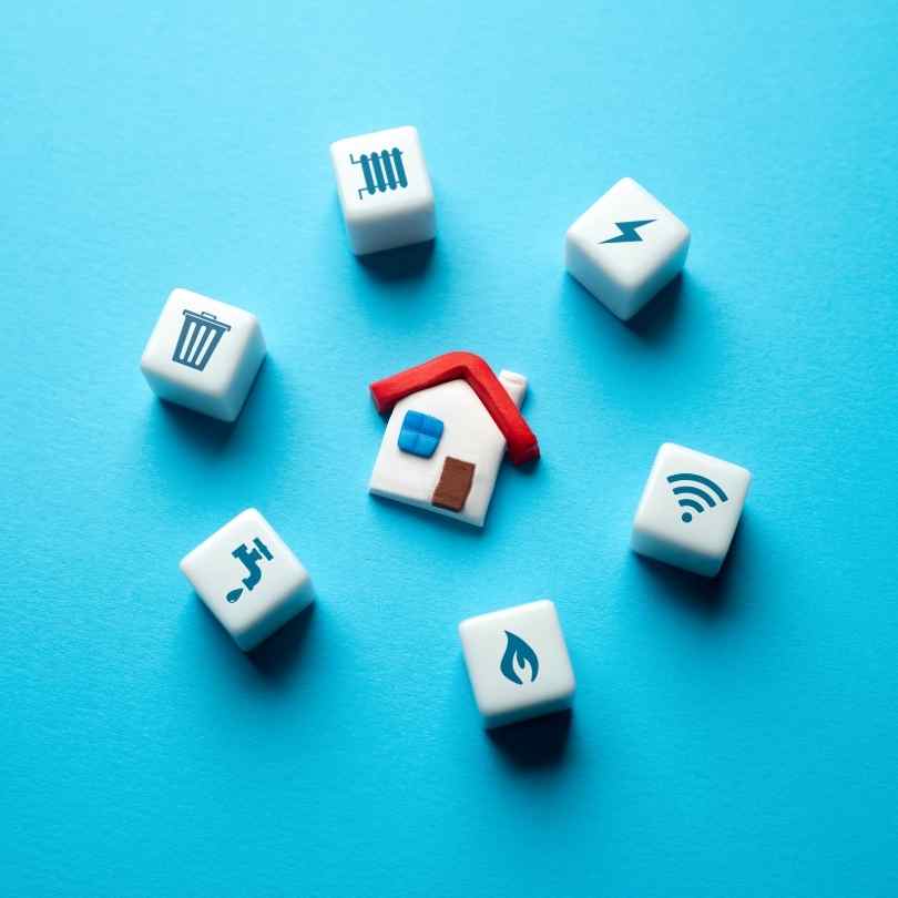 Tanuku Digital marketing