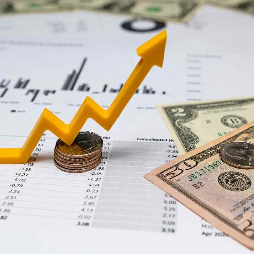 Tanuku digital marketing